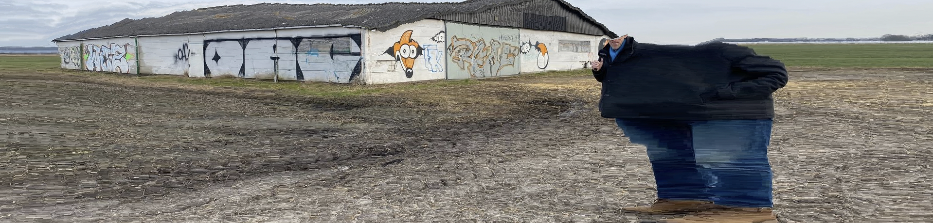 Foto van Rosa
